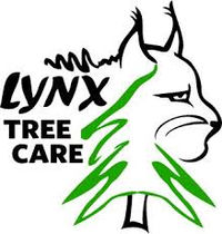 Lynx